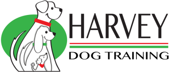 Harvey Dog Training Brisbane | Puppy School, Obedience Classes